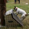 foire-haricots 2011-09-17et18